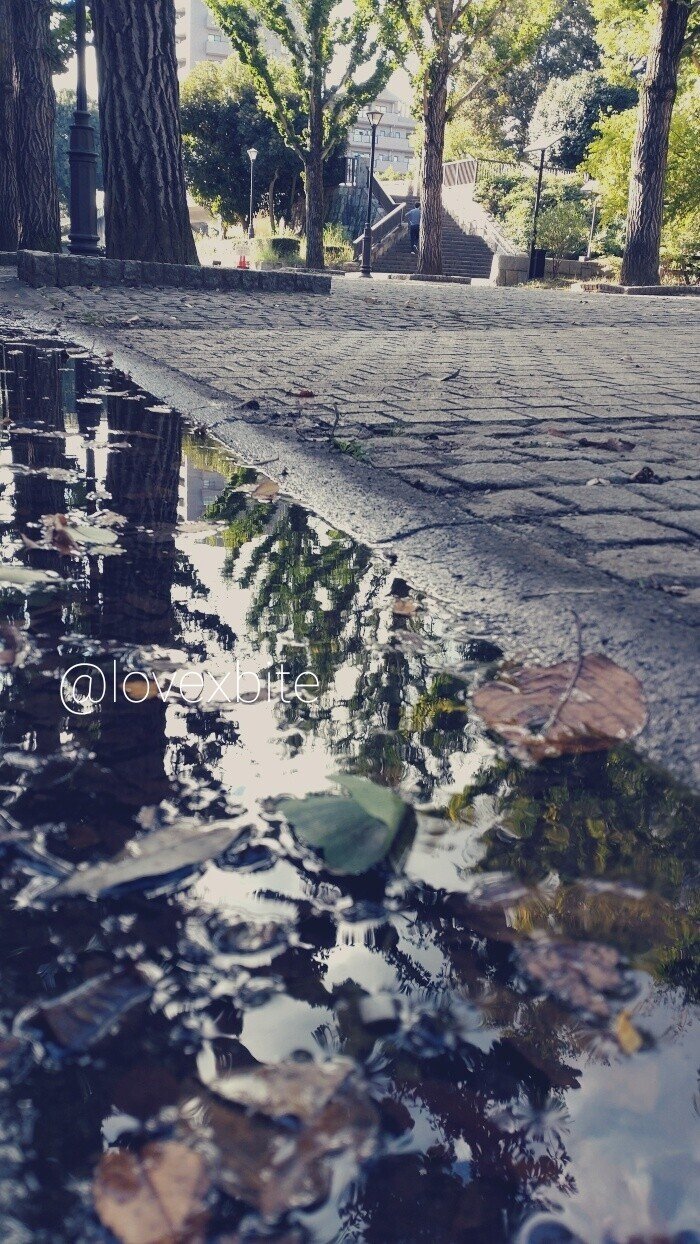 果たして眠れていたのか？ 軽い頭痛と共に、気が重たい朝。 真夜中に目覚めてしまって、そのまま寝付くことも出来ず。少し深呼吸して、澱んだ気持ちも