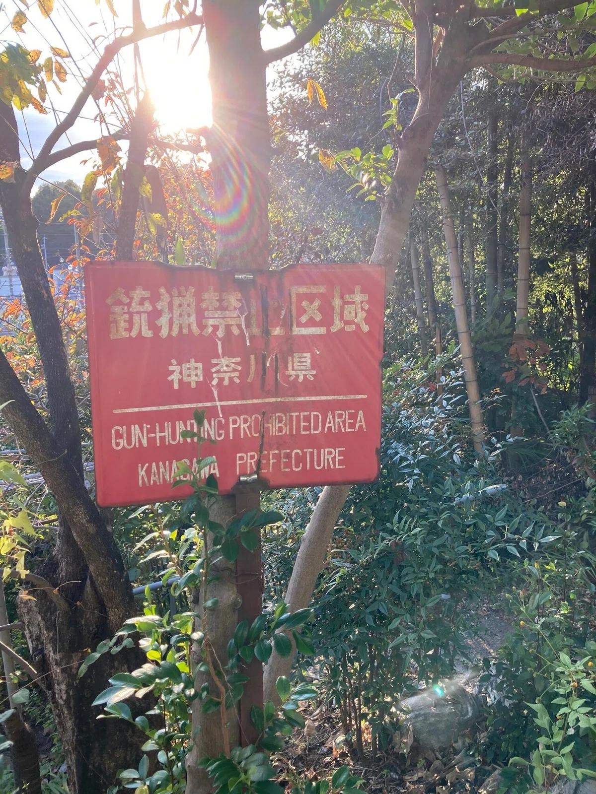 画像5