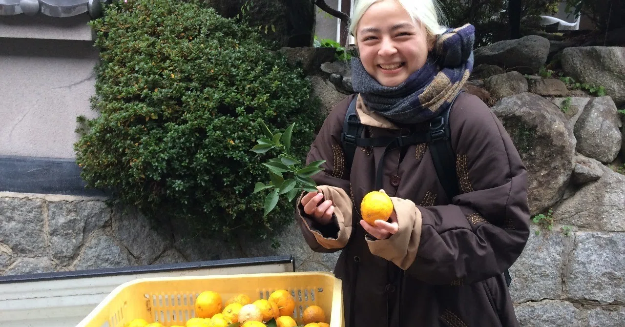 写真_2018-12-21_15_38_24