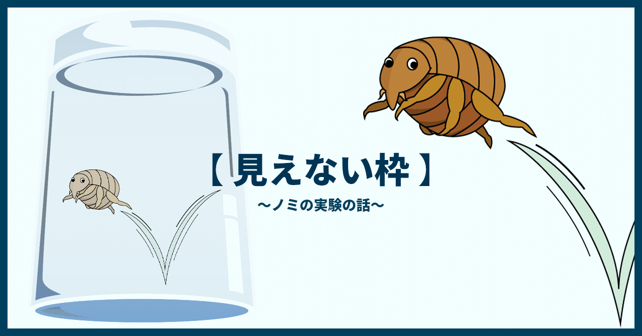 ノミの侵入を防ぐにはどうすればよいですか?