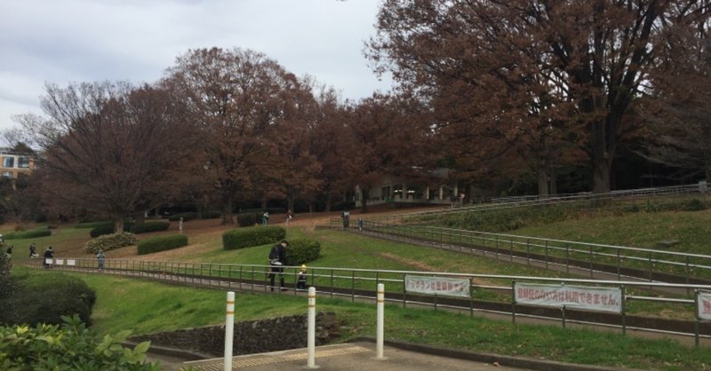 今日も代々木公園  踏ん張り時