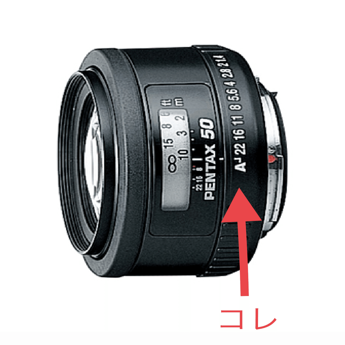 接写リングセット×単焦点レンズと写真と私｜Aki Yamaki