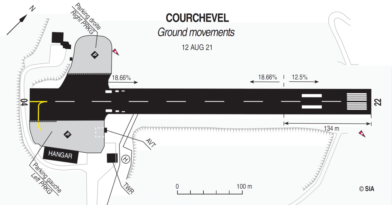こんな斜面に滑走路？！｜やぶ悟空
