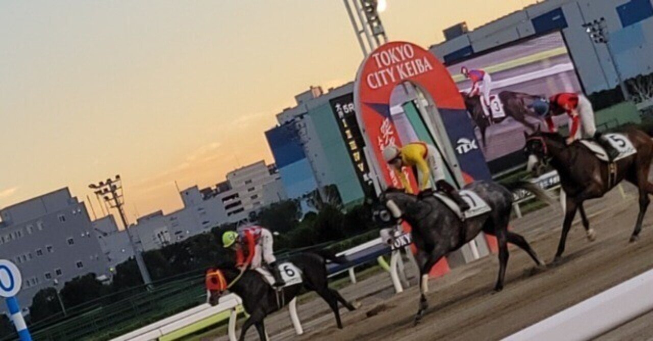 カップルのデート&女子にもオススメスポット🐴 🌟地方競馬【大井競馬場
