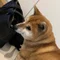 まる