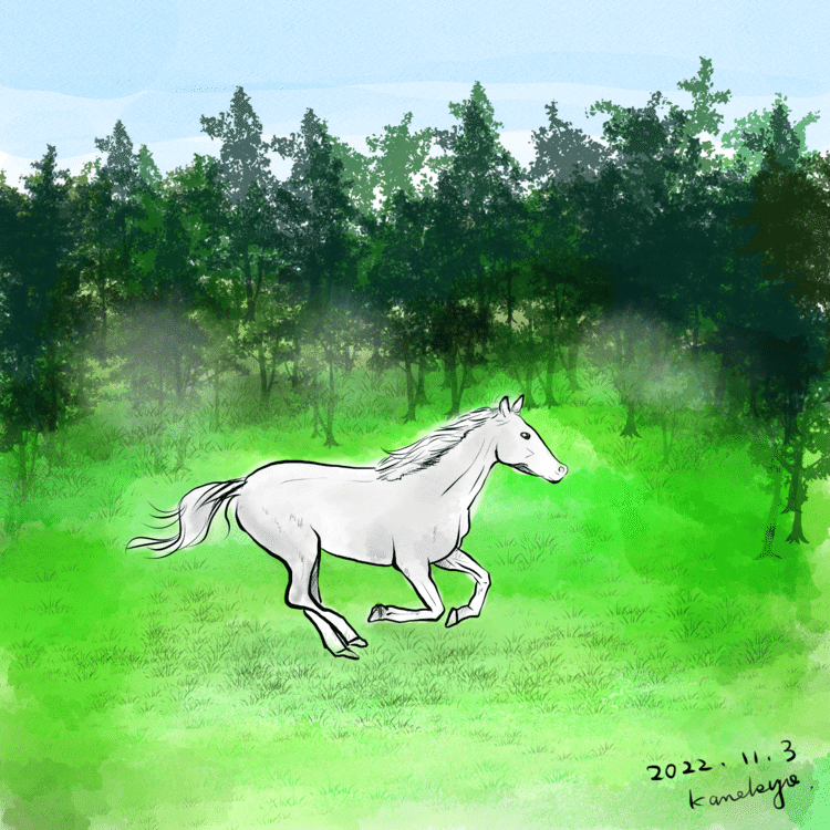 最近インスタでお馬ばかり見ているので、とりあえず描いてみた。おやすみなさい。