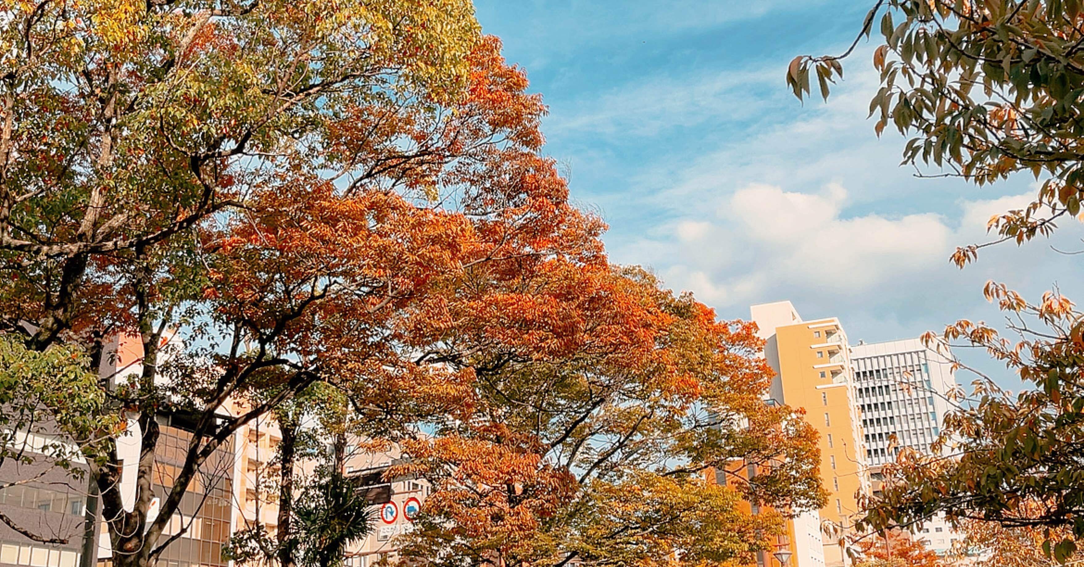 自己顕示欲承認欲求ハロウィン せかいかん Note