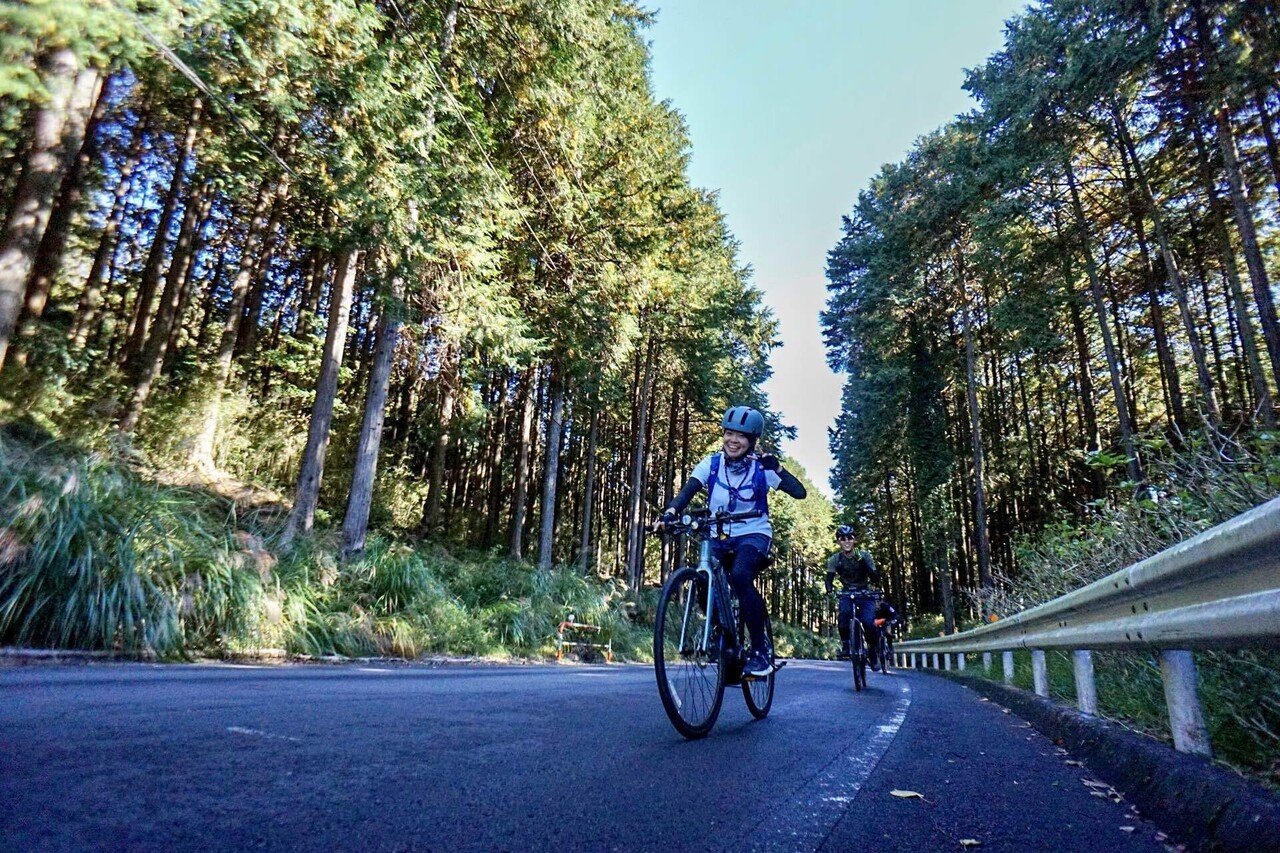 あつか Buy Adidas ZX 8000 'Aqua' 1988 - ZX80001988 | GOAT