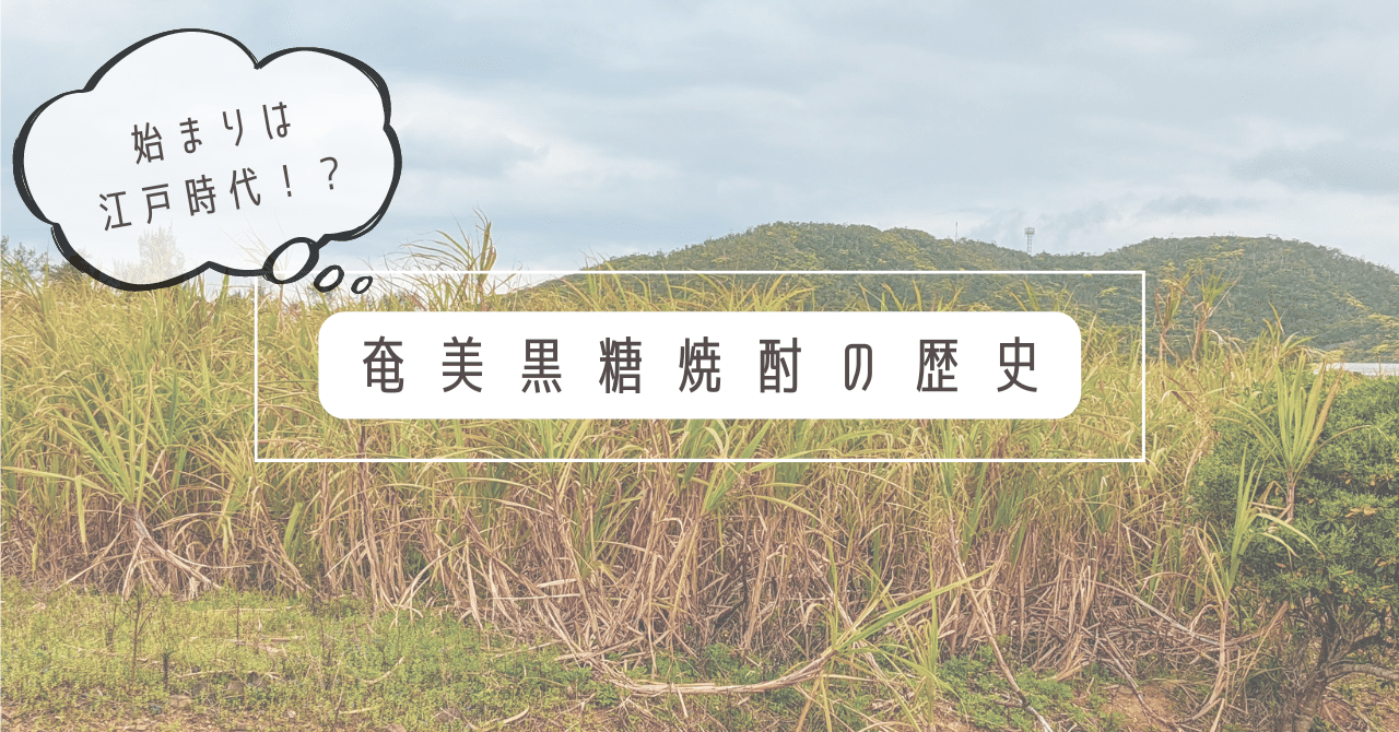 始まりは江戸時代!?知られざる奄美黒糖焼酎の歴史とは？｜浜千鳥館