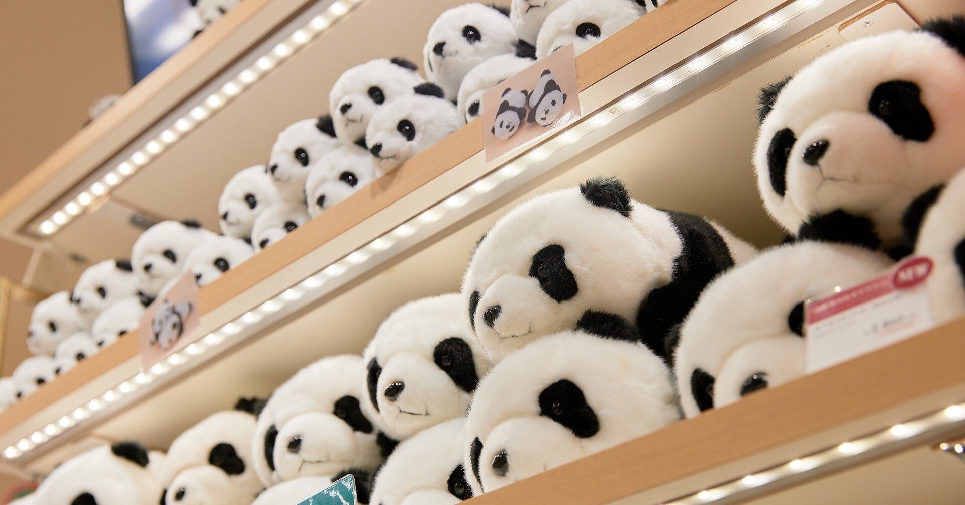 ㊗️上野案内所 開業5周年！｜上野案内所