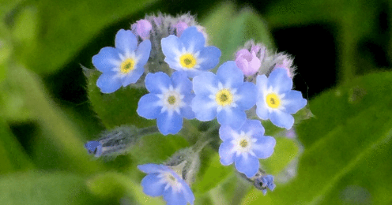 今日の日記 尾崎豊を聴いたら ひるげ Note