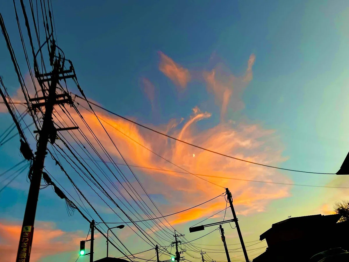 画像