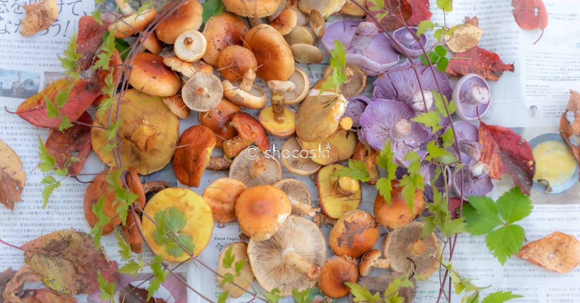 30817110ae57f4c59abd2e09b45ae5