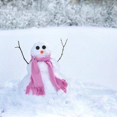 降りつんで野によみがえる雪達磨 〜一筆大会〜