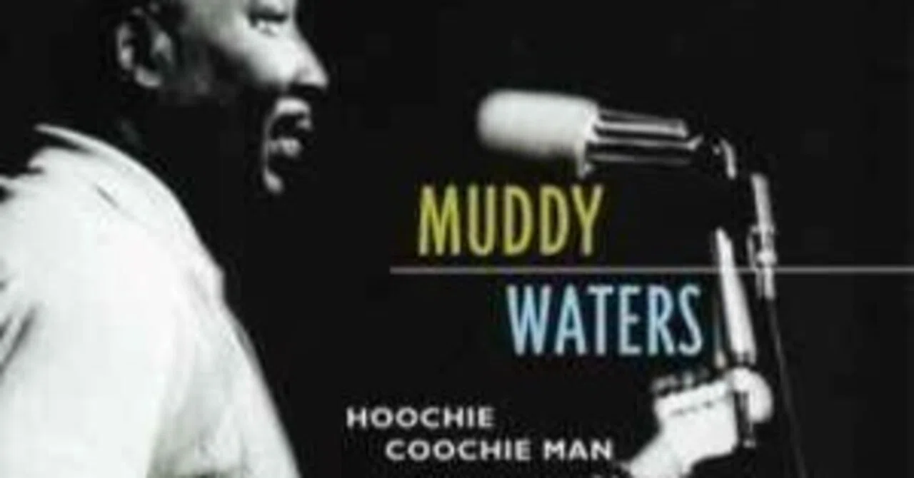 Hoochie Coochie Man～Muddy Waters～ ｜二十五年後への資産運営を考える(ベネット大尉)