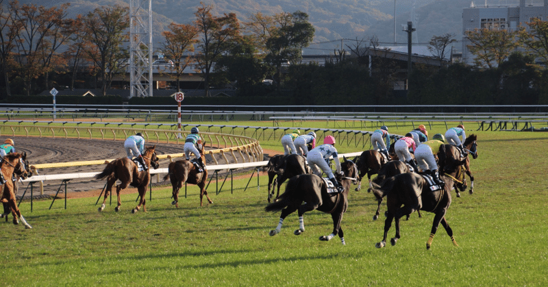 11/5（土）🐴厳選勝負レース🐴 　　　・東京8R 【自信度S】3歳以上1勝クラス・東京9R 【自信度S】神奈川新聞杯・阪神10R 【自信度S】安芸ステークス