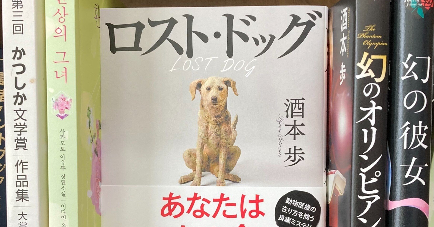 204cc45a8e5c5553f34bd3ef337c92