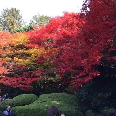 京都の朝ごはん
