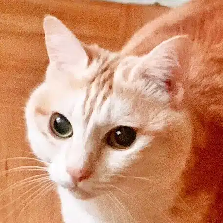 ウラ片山さん