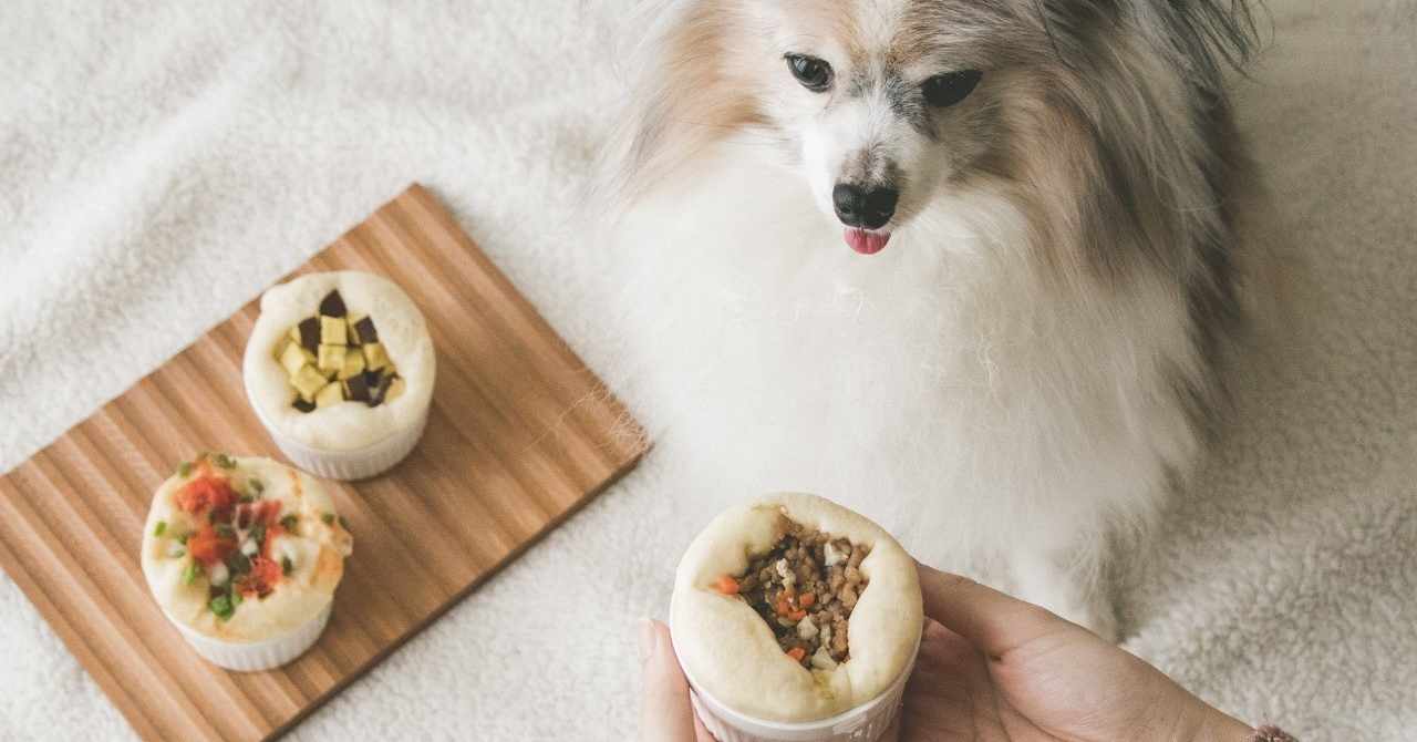 いちかわあやこ 犬ごはん先生 の18年のノート Note