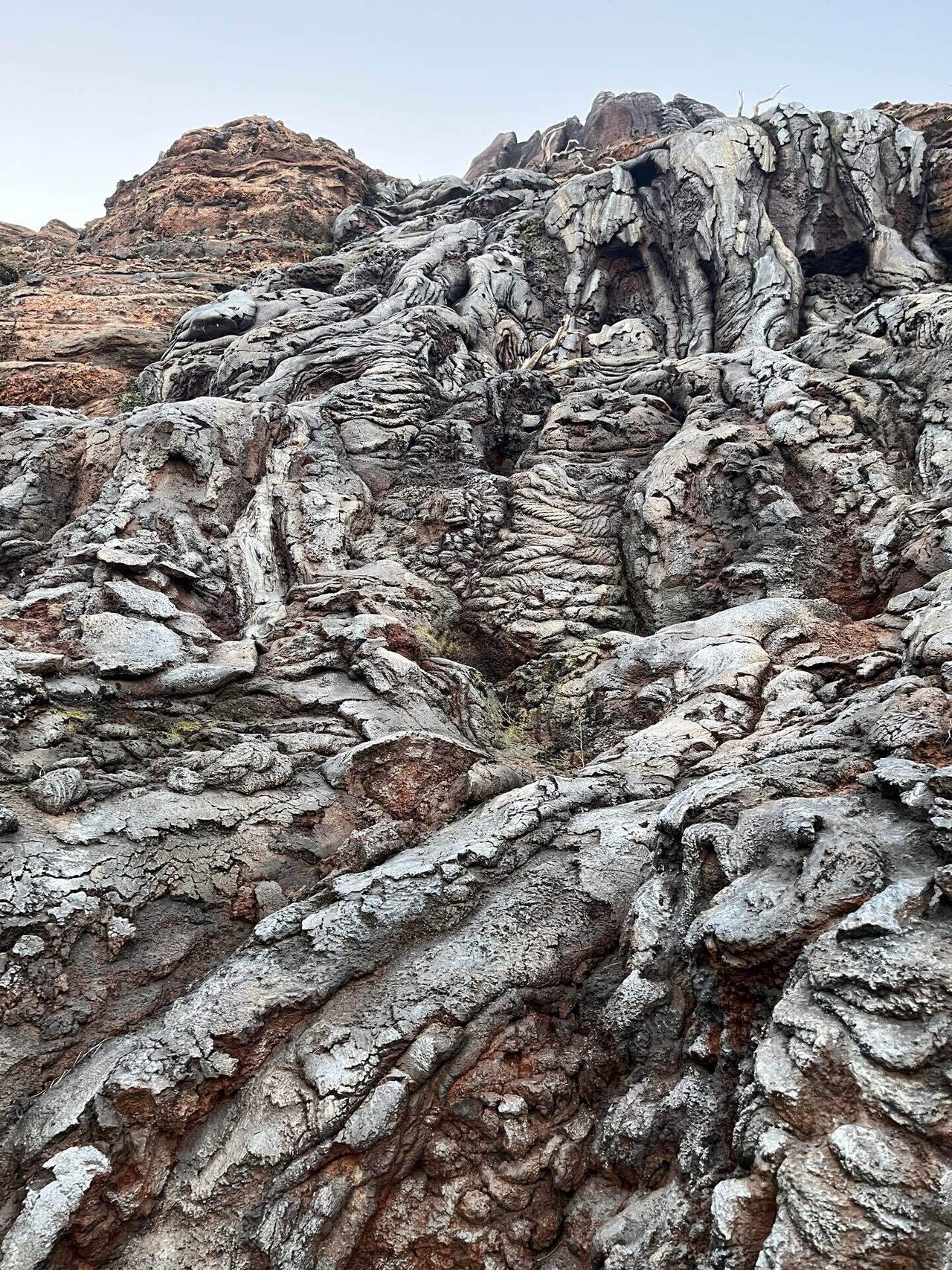 にしざあみずき プシュケとラーガ の記事一覧 Note ノート にしざあみずき プシュケとラーガ の記事一覧 Note ノート