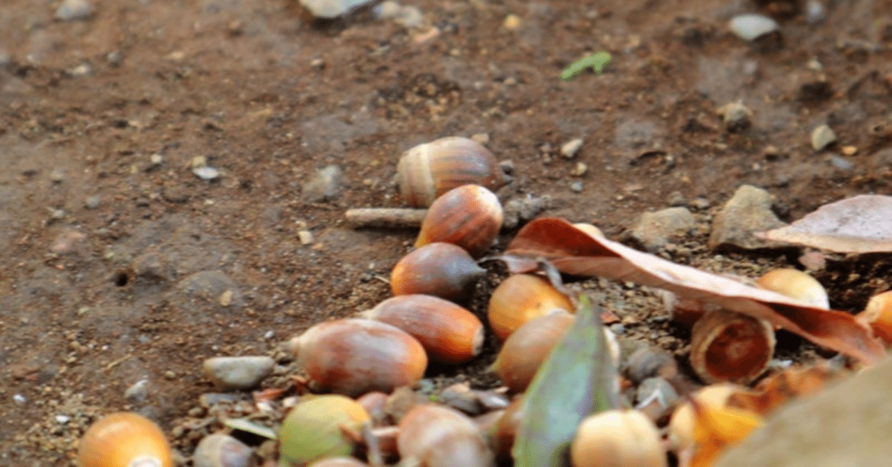 俳句幼稚園 秋の季語いろいろ なごみ Note 俳句幼稚園 秋の季語いろいろ なごみ Note
