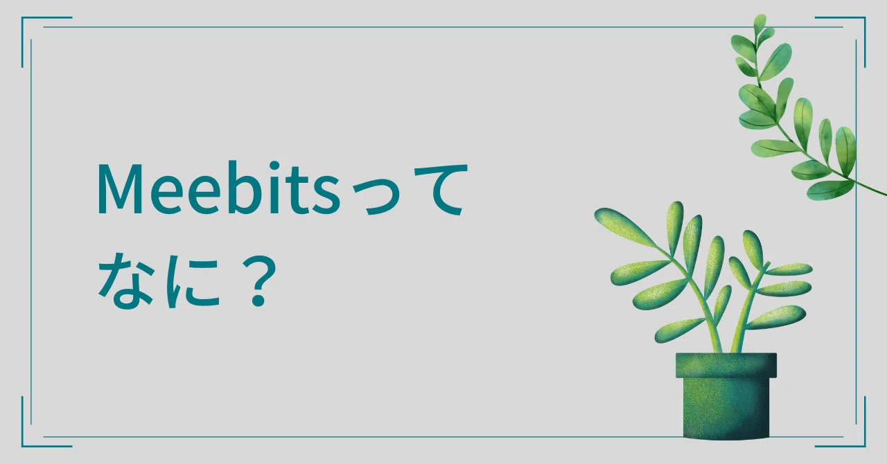 Meebitsってなに？｜トーマス