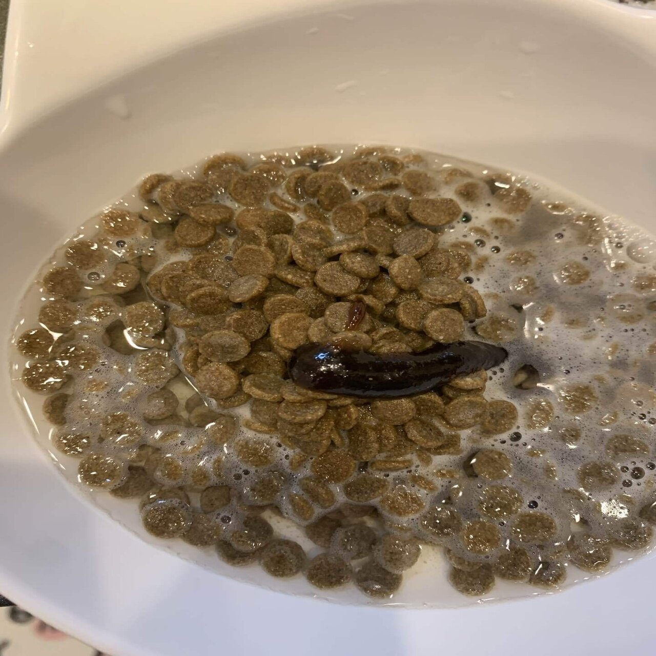 たまには日記をつけてみるのも良いよねハム太郎 1919かずや Note