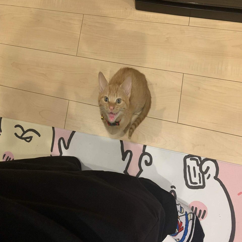 たまには日記をつけてみるのも良いよねハム太郎 1919かずや Note