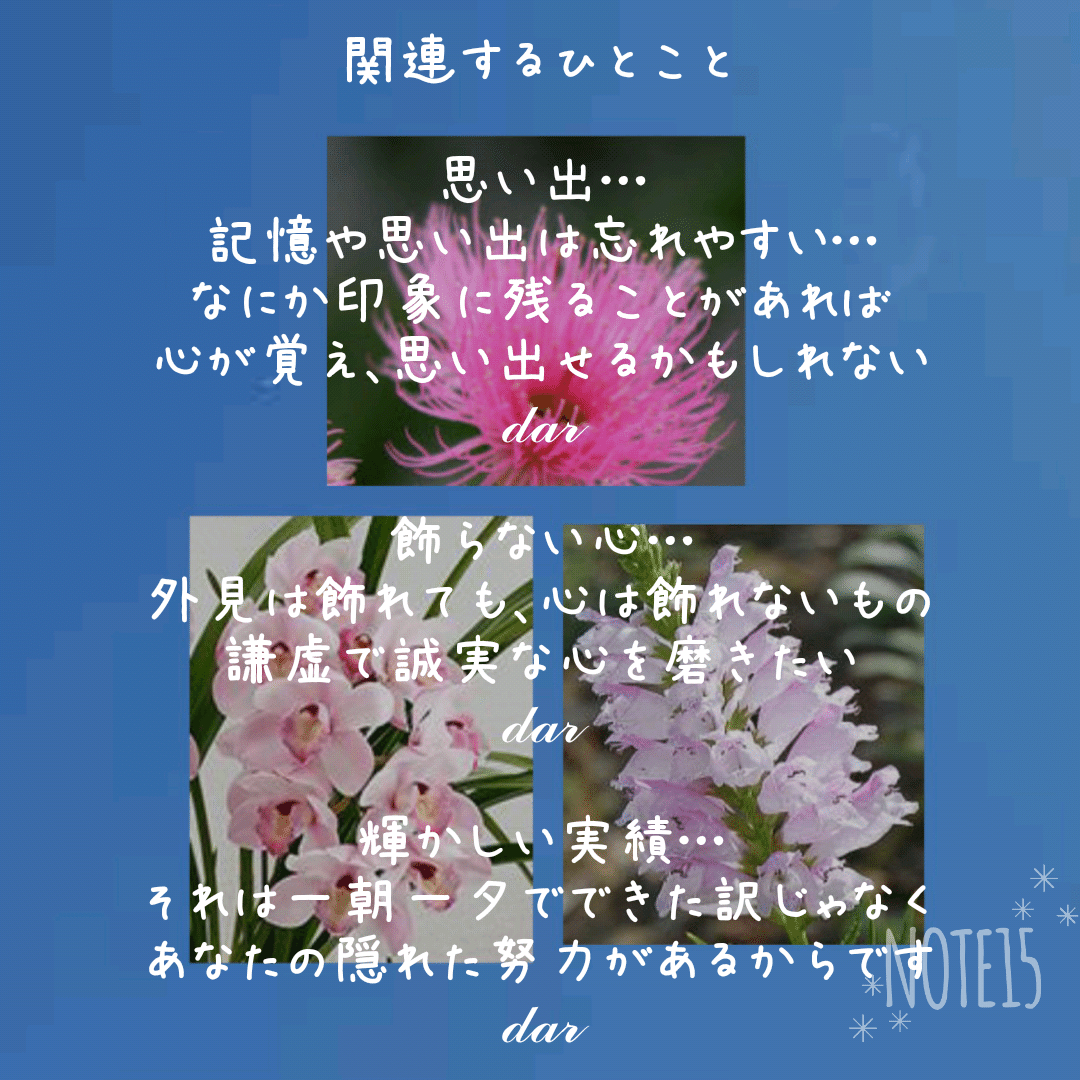 今日の花たち 11 7 月 花言葉と 関連するひとこと ユーカリ 再生 思い出 記憶 追憶 慰め シンビジウム 飾らない心 素朴 高貴な美人 華やかな恋 誠実な愛情 ハナトラノオ 輝かしい実 だー Note