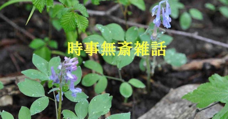 時事無斎雑話（20）　釧路湿原を自転車で走る Cycling Road Across the Kushiro Marsh