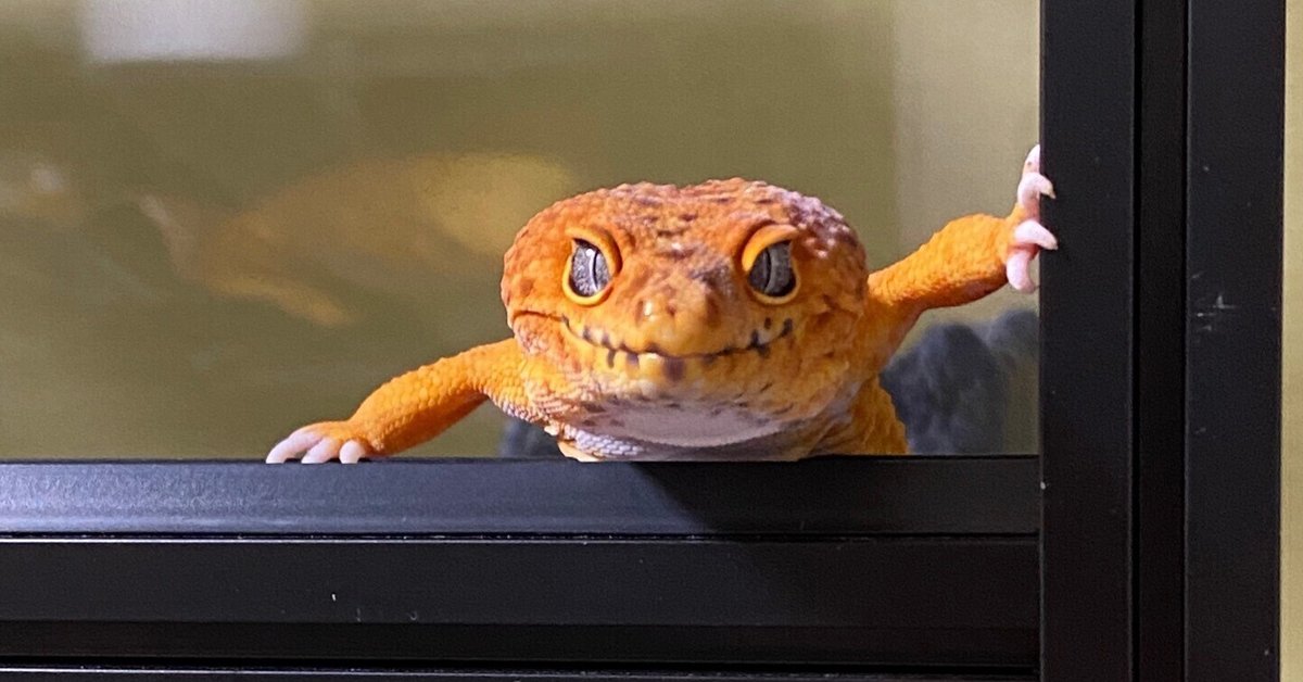 爬虫類の環境エンリッチメントガイドラインの提案」邦訳