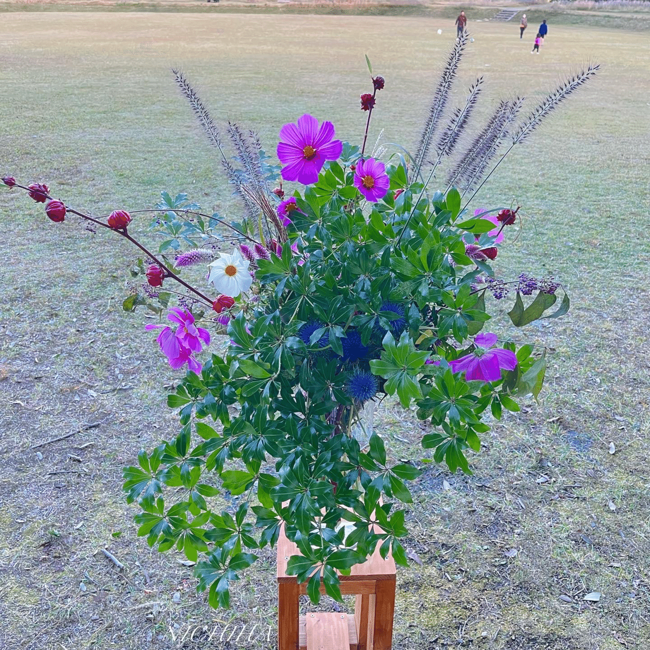 イベント振り返り 1 アーティスト 華道家 仁千華 ニチハ Note イベント振り返り 1 アーティスト 華道家 仁千華 ニチハ Note