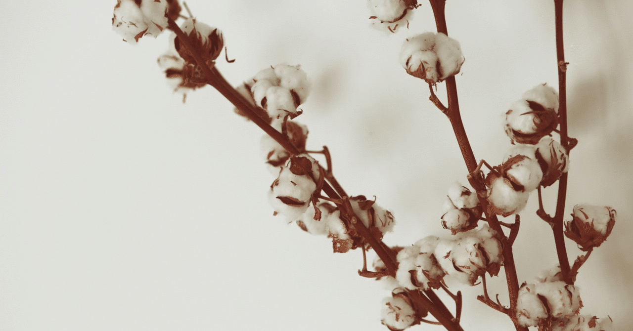 花言葉 コットンフラワー Yuu Journal Note 花言葉 コットンフラワー Yuu Journal Note