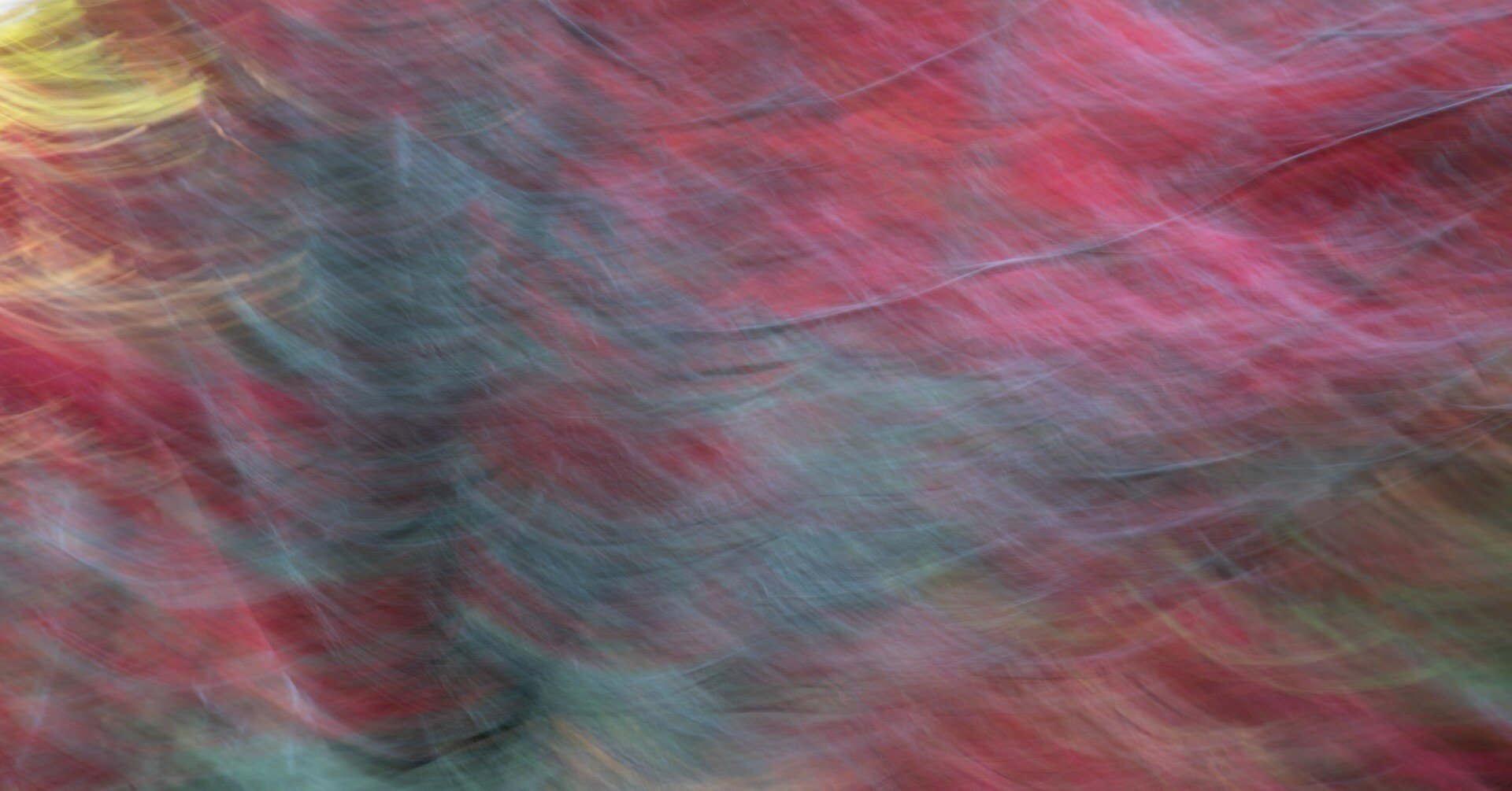 2917461c87d54aac42032b759ea1b8