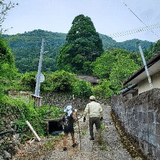 日々日記