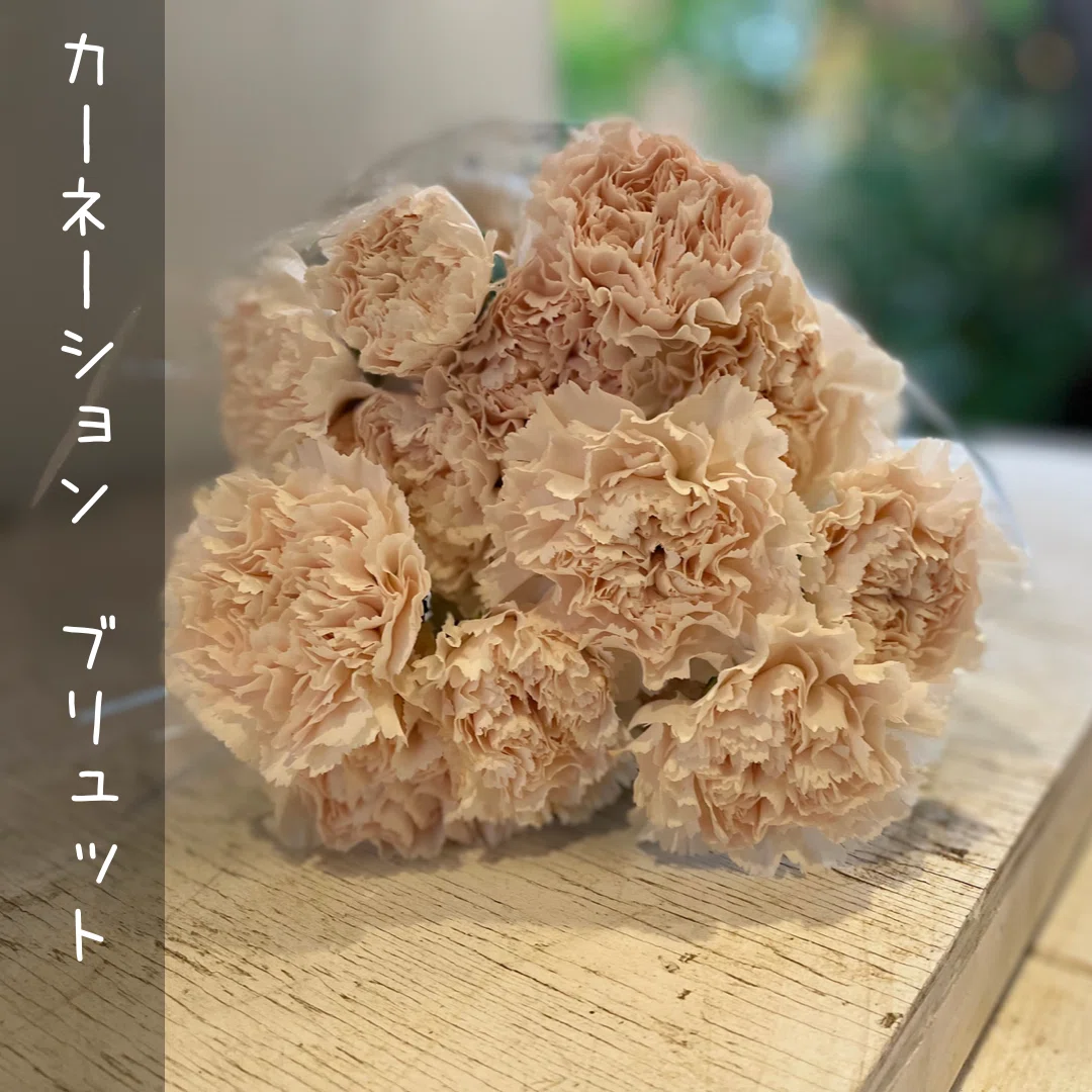 2022.11.7】きょうのおはな｜木の下の花屋 Kazamidori