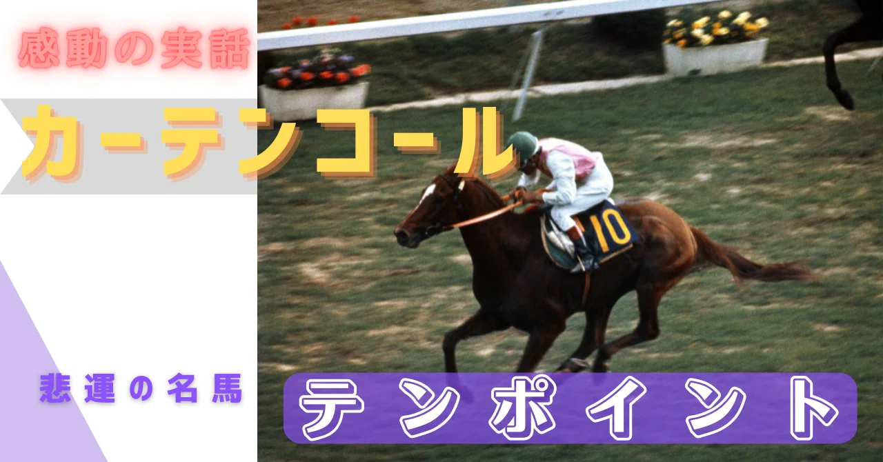 カーテンコール 悲運の名馬”流星の貴公子”テンポイント｜First Step