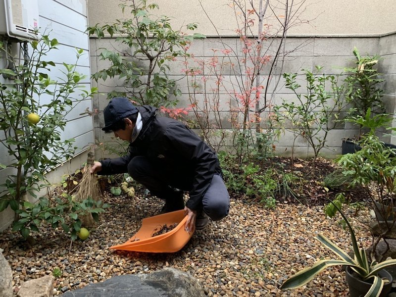 剪定の基本は 芽を見つける目 平屋私庭日記 ８ ライツ社