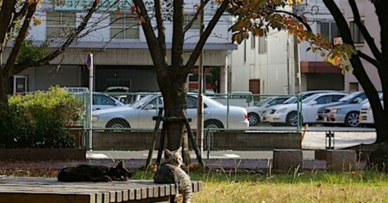 M365全ユーザーの予定表アクセス権限を「すべての詳細を表示」にPowerShellで一括変更（更新編）｜Adi＠AI活用で客数予測