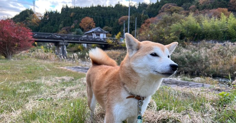 移住後ではなく移住前に繋がりを作れるかどうかが田舎移住の成否を分ける