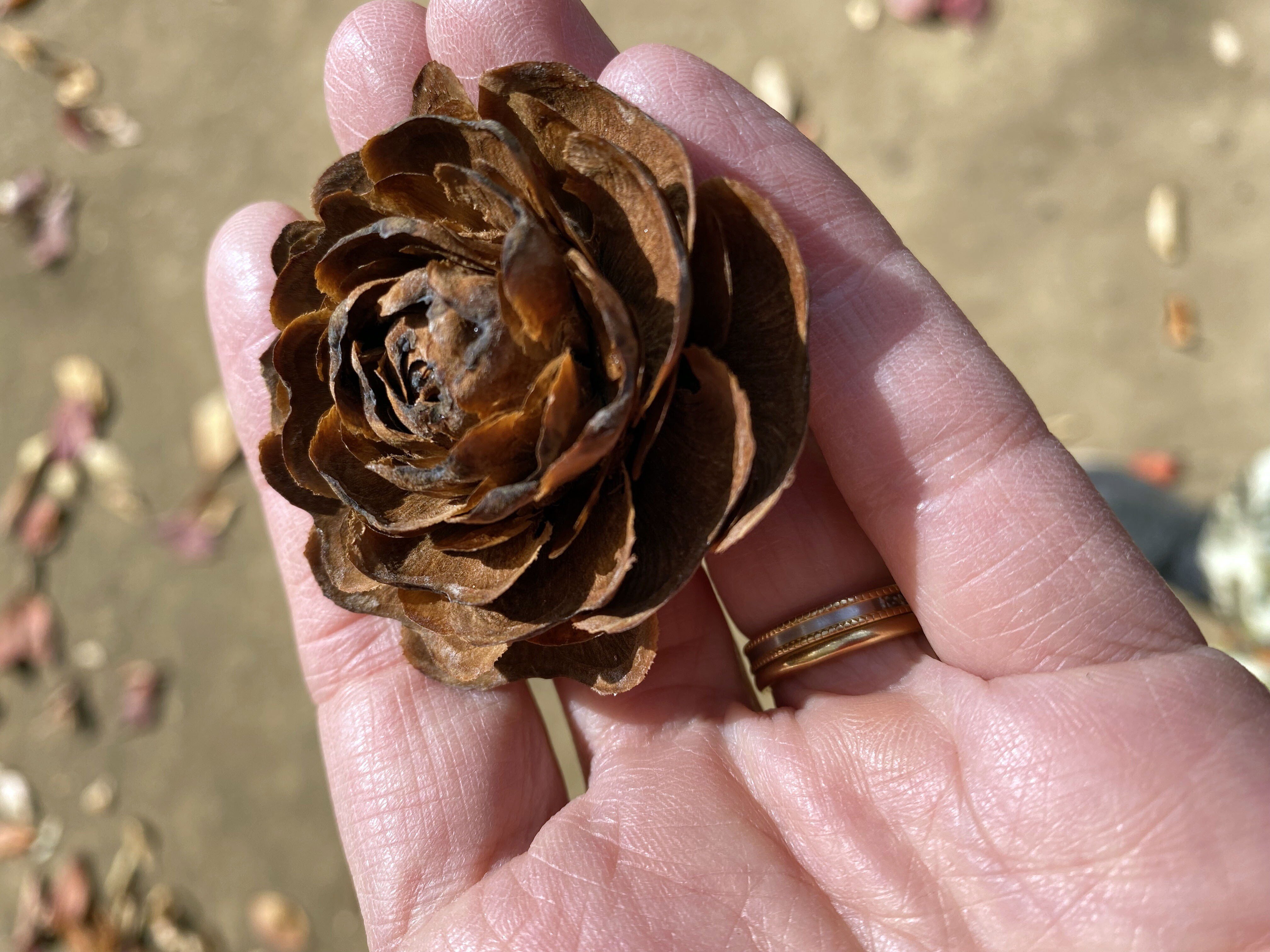 Xa2jqnzxaeqxlm Xa2jqnzxaeqxlm