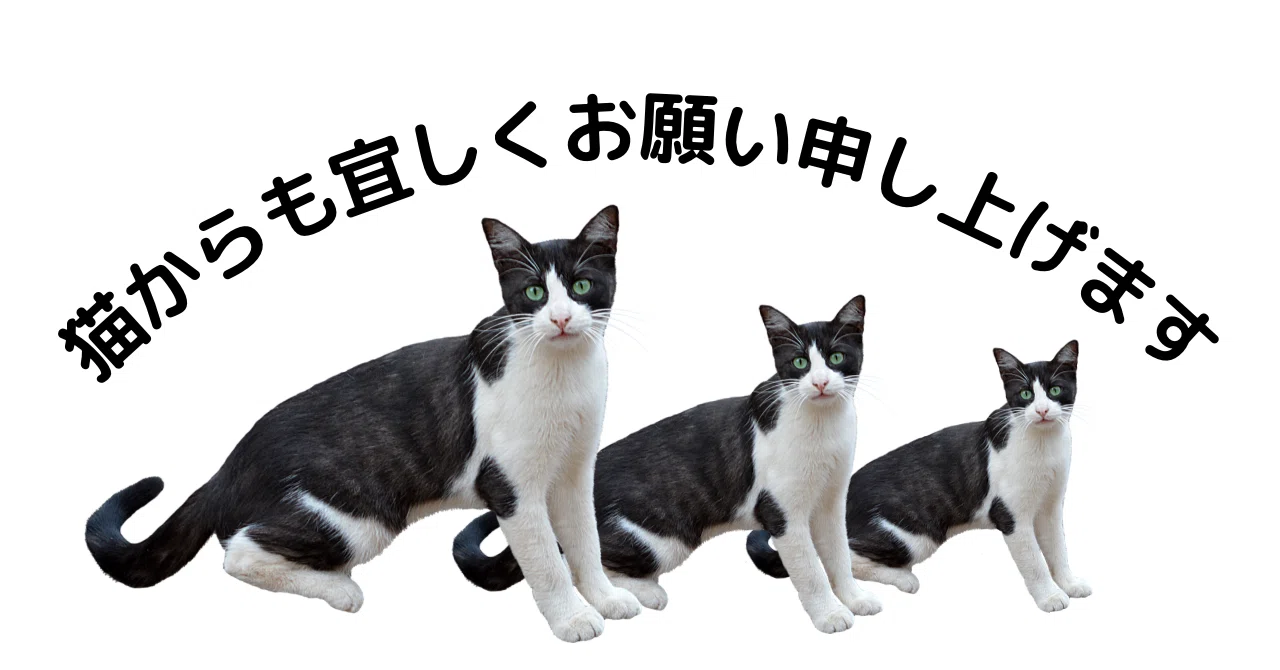 お待たせしていた猫のアレ｜黒柳 能生 公式note
