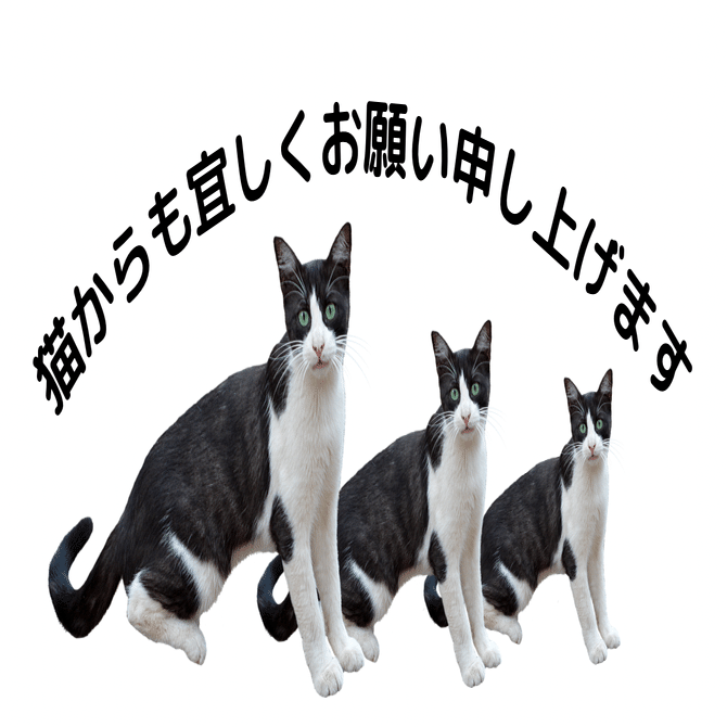 SOPHIA 黒柳能生 待ち猫Tシャツ Mサイズ シザーワークver. お待たせし