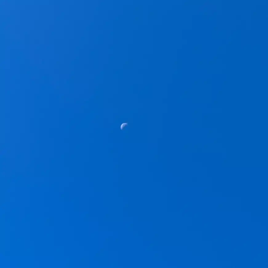 爽籟