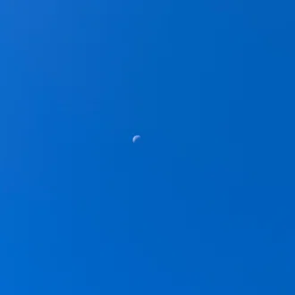 爽籟