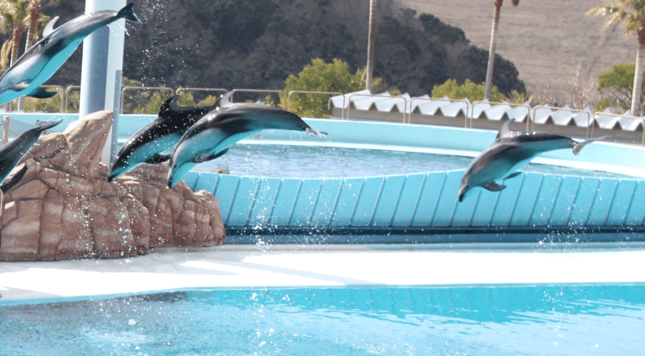 教える技術 職場や組織におけるインストラクションの意味 向後千春 Note