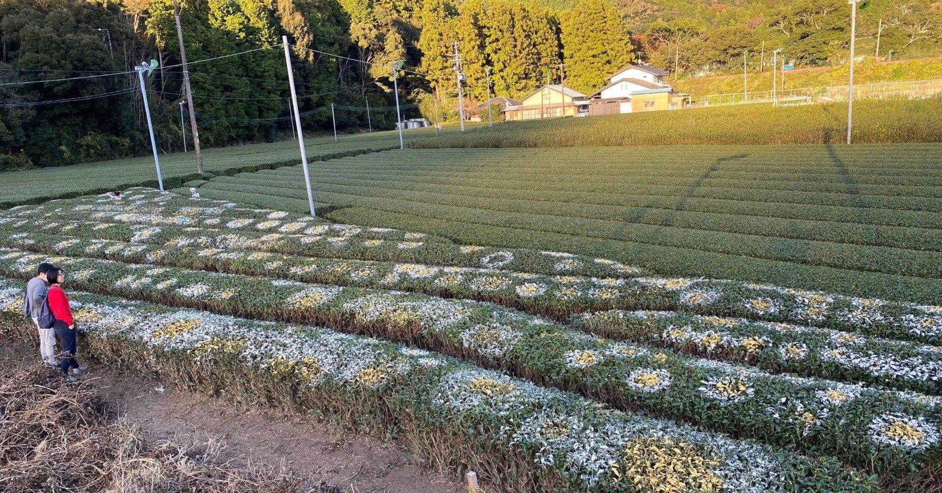 3da8c0e2597d415c406149918b2273