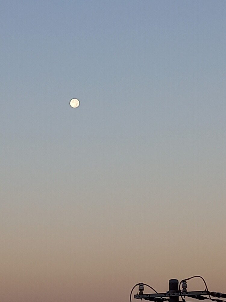 雲ひとつない空に、ぽっかりと。