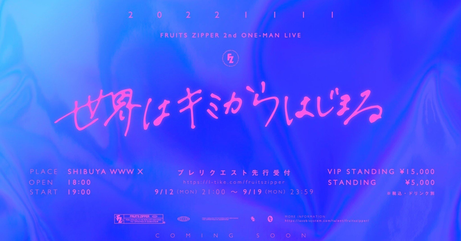 Amazon.co.jp: Fruits Zipper VIP特典 豊洲Pit 1st Anniversary